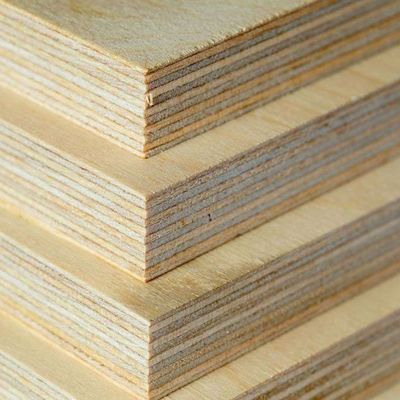 Gỗ dán Plywood